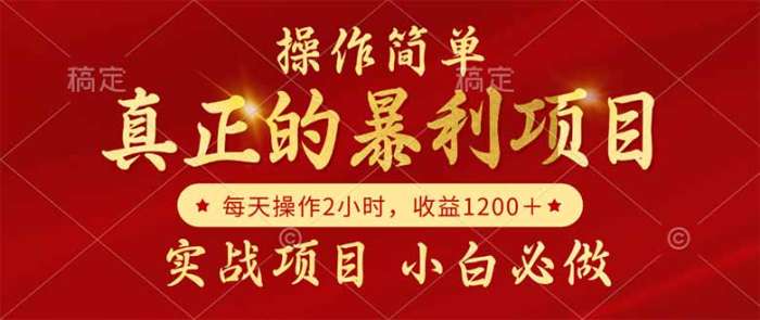 真正的暴利项目，操作简单，每天收益1200＋，自己做老板