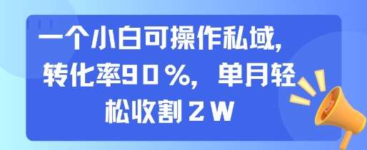 一个小白可操作私域，转化率90%，单月轻松收割2W